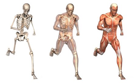 cuerpo higiene postural