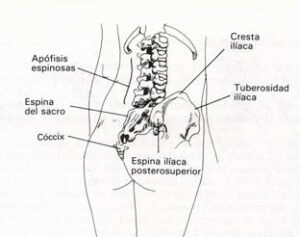 lumbalgias y sus causas