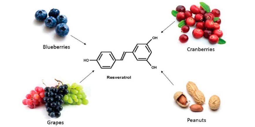 propiedades del resveratrol