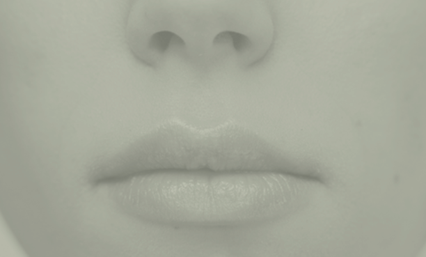 tabique nasal