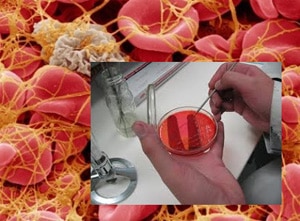 investigacion sangre artificial