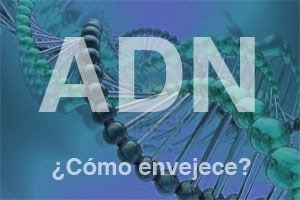 El ADN y la edad