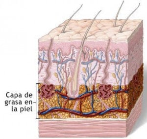 Piel de la celulitis