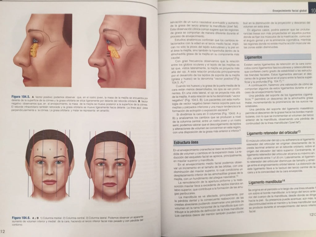 envejecimiento facial global, coiffman-3