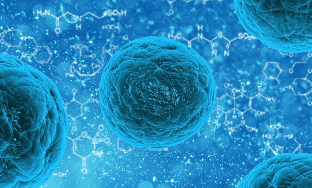 Extraer grasa de las células madre