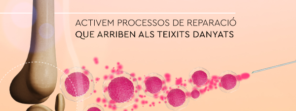 Tractament antienvelliment