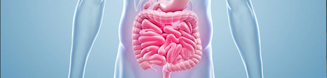 Lesiones Papilomatosas y Condilomas