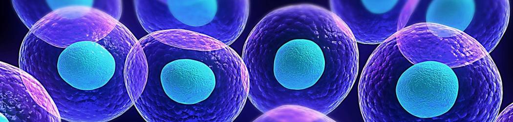 Adult stem cells bank