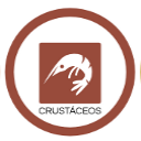 Crustaceos