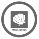 Moluscos