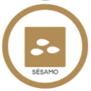 Sesamo