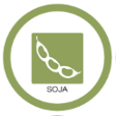 Soja